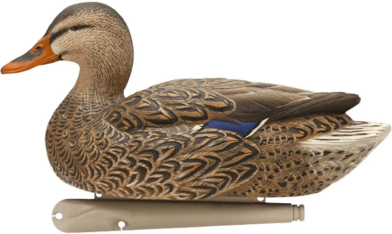 Avian X Topflight Realistic Open Water Mallard Duck Decoys with Weight-Forward Swim Keel Set of 6 (Multicolor)
