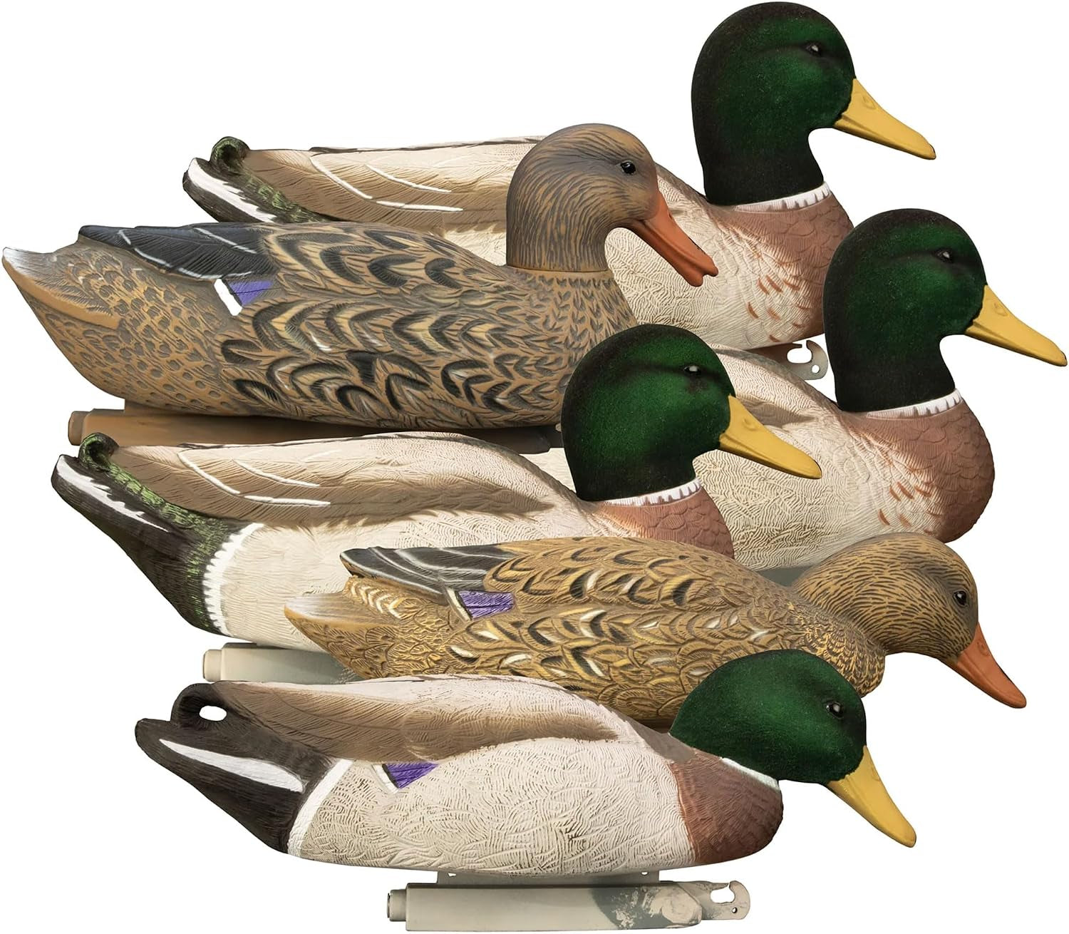 Magnum Mallard Duck Decoys | High Contrast Visibility | Unsinkable with Swivel Heads | Flocked, Painted, or Flocked Heads with Bag | Foam Filled, | Easy Setup, Weighted Keels | 6 Count