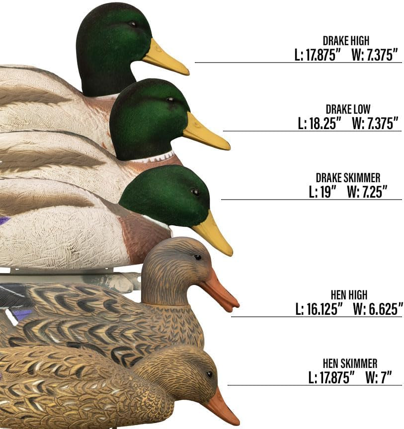 Magnum Mallard Duck Decoys | High Contrast Visibility | Unsinkable with Swivel Heads | Flocked, Painted, or Flocked Heads with Bag | Foam Filled, | Easy Setup, Weighted Keels | 6 Count