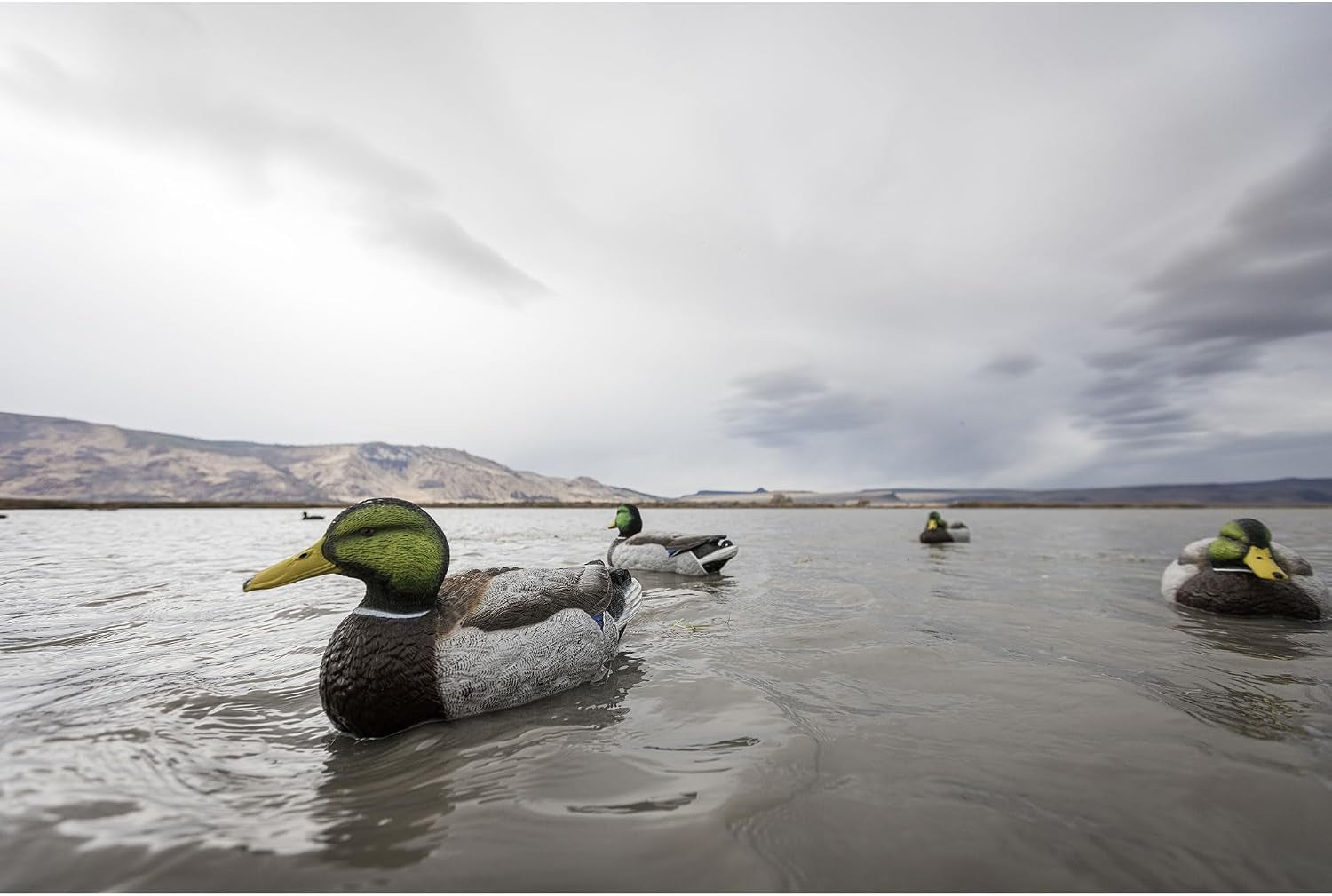 Legacy Magnum Mallard Duck Decoys for Waterfowl Hunting | Durable Ultra Realistic Foam Filled Decoys | 2 Active & 2 Rester Drakes & 2 Rester Hens | Flocked Heads or Non-Flocked | 6Pk