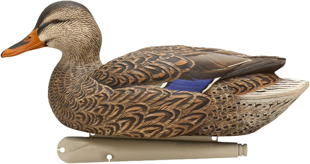Avian X Topflight Realistic Open Water Mallard Duck Decoys with Weight-Forward Swim Keel Set of 6 (Multicolor)