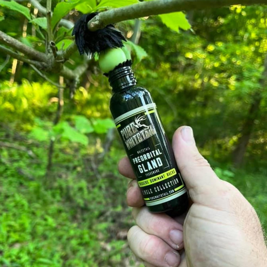 Preorbital Gland Scent | Deer Forehead Gland Scent | Natural Deer Scent | Mock Scrape Scent | Makes a Licking Stick for Deer | 2 Oz Bottle