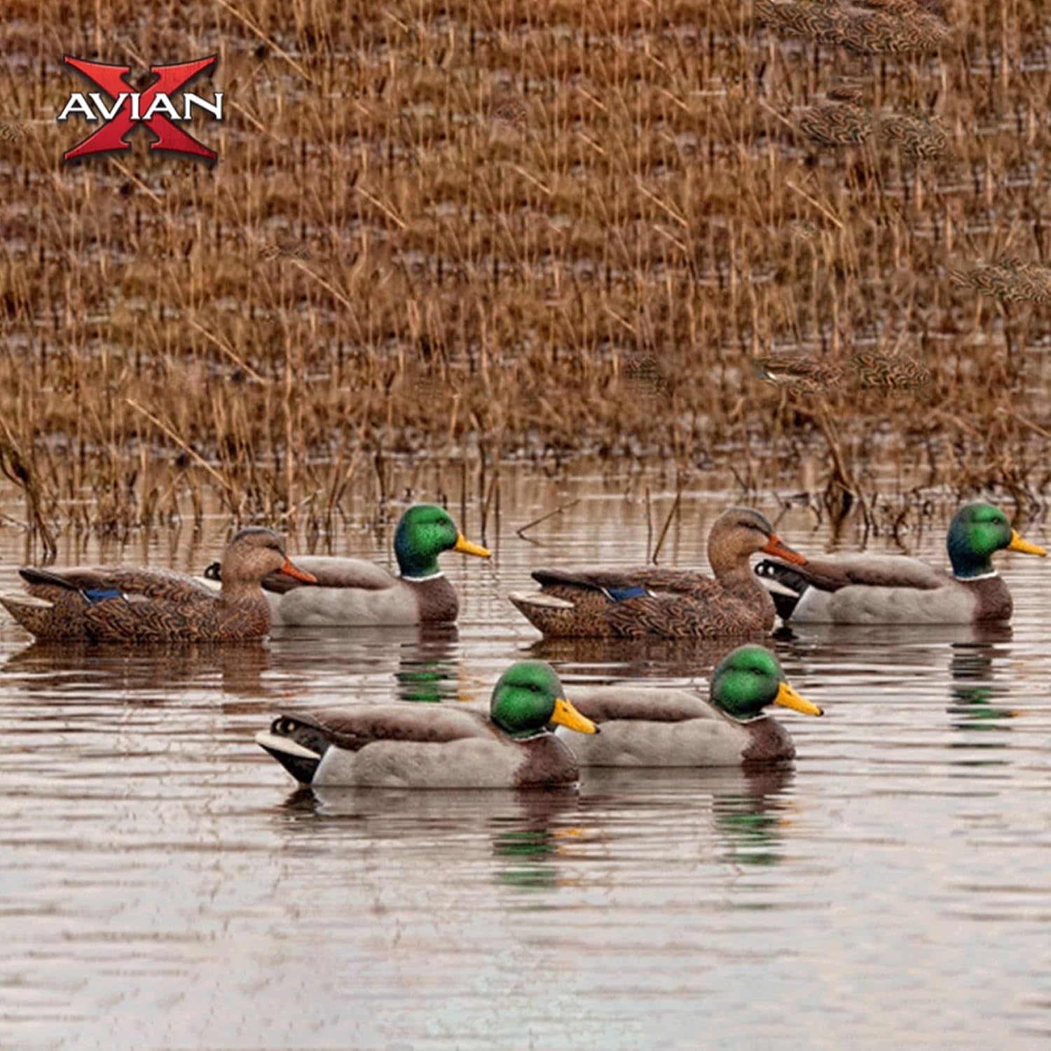 Avian X Topflight Realistic Open Water Mallard Duck Decoys with Weight-Forward Swim Keel Set of 6 (Multicolor)