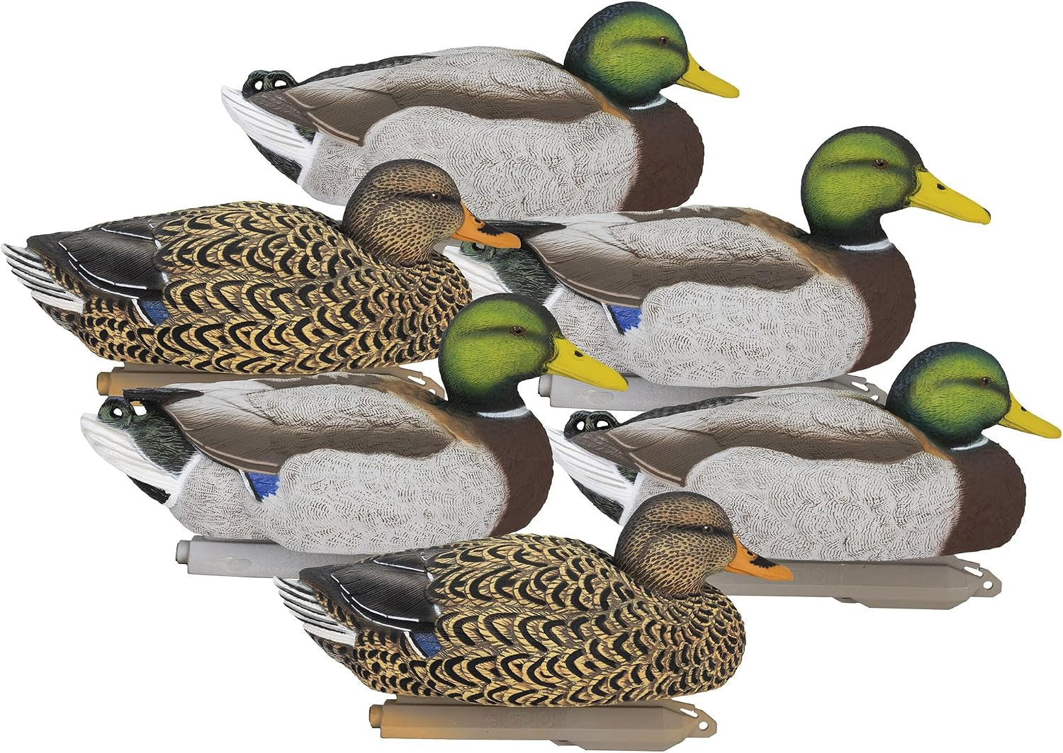Legacy Magnum Mallard Duck Decoys for Waterfowl Hunting | Durable Ultra Realistic Foam Filled Decoys | 2 Active & 2 Rester Drakes & 2 Rester Hens | Flocked Heads or Non-Flocked | 6Pk