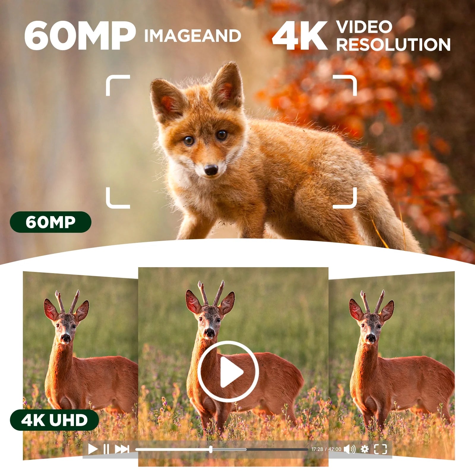 Solar Trail Camera 4K 60MP Dual Lens Wifi 5200Mah Battery Game Camera Starlight Night Vision for Wildlife Hunting Monitoring