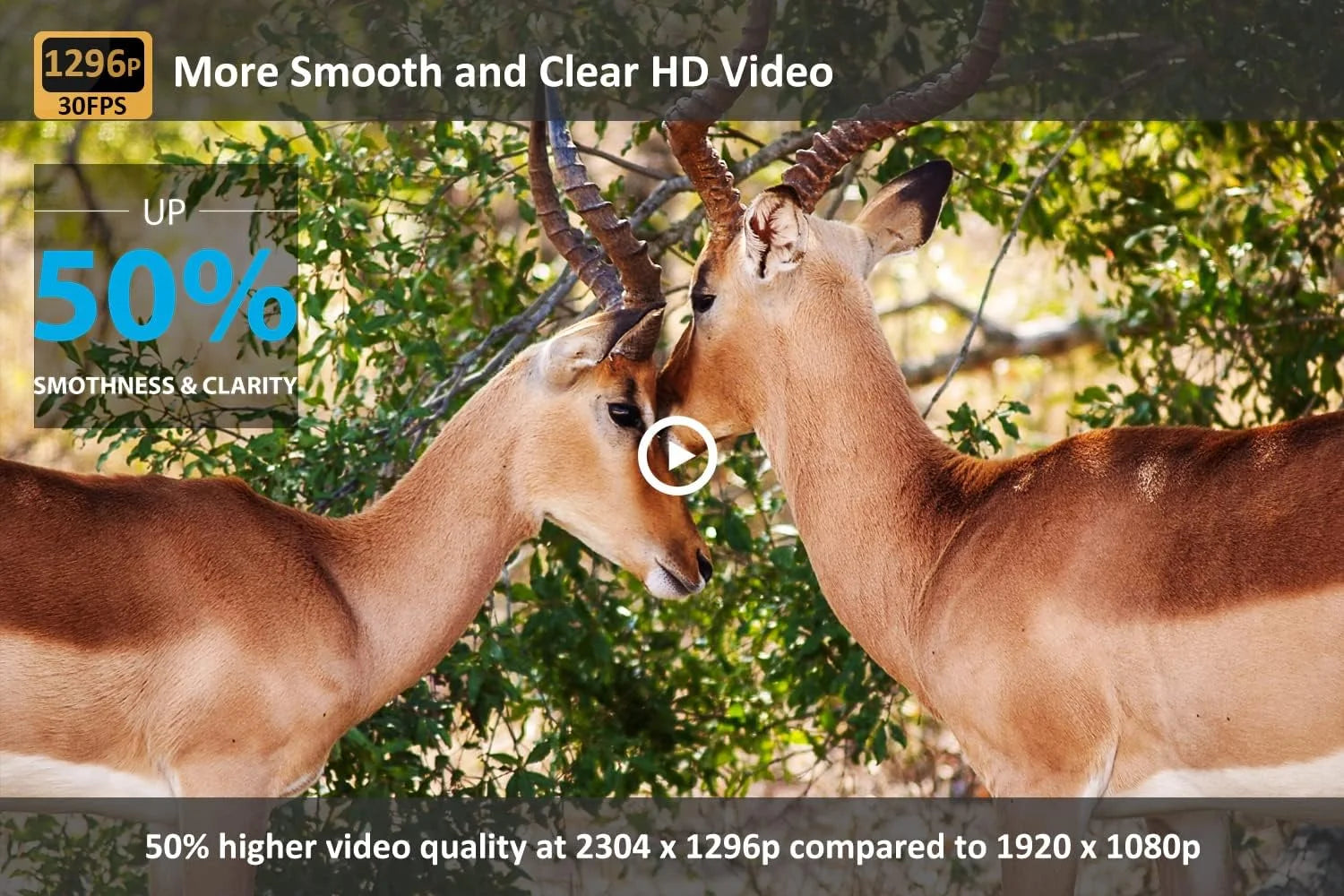 Wifi Bluetooth Trail Camera 1296P 20MP Game Deer Camera Infrared Night Vision Waterproof PIR Sensors Motion Activated Trail Cam for Hunting Wildlife Monitoring Home Security 2.0" LCD Screen
