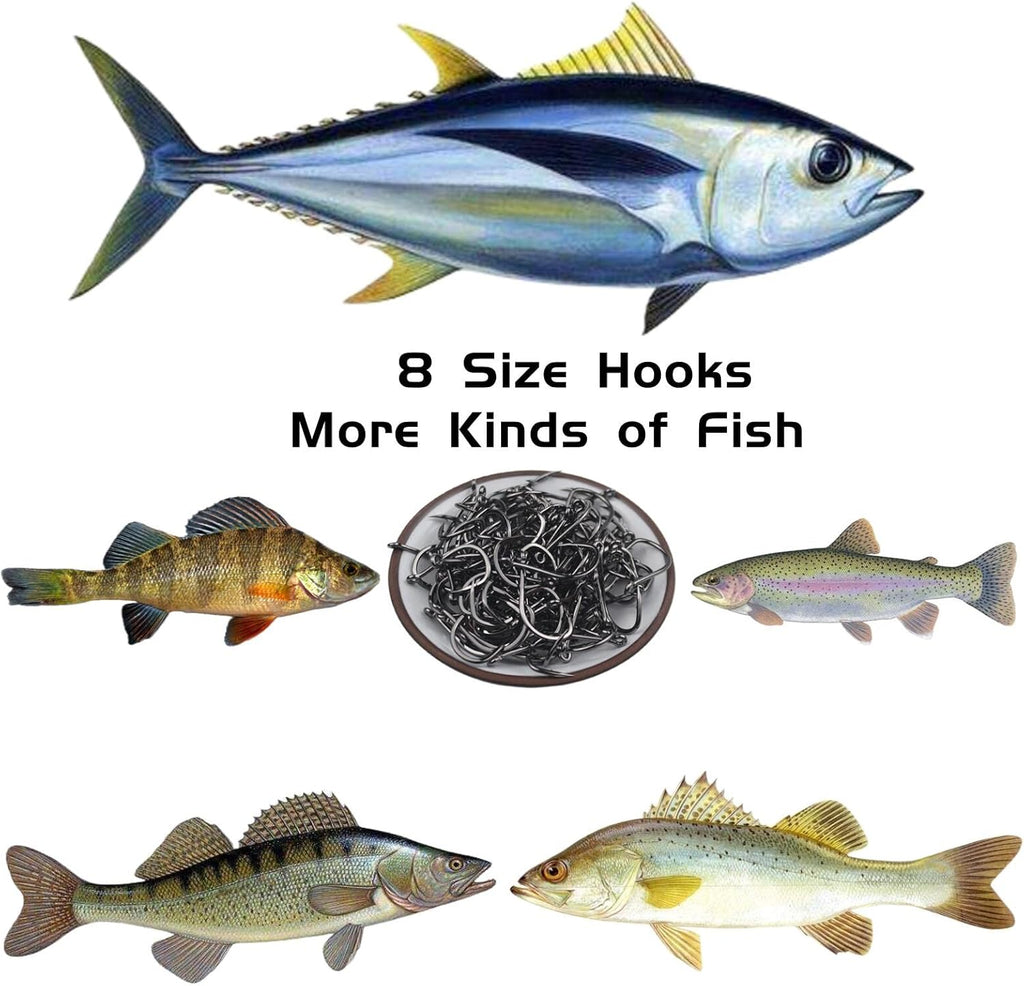 Fishing Hooks Freshwater Saltwater Fish Hooks Bulk Fishing Hooks Set Worm Catfish Hooks Fish Gear Equipment Supplies