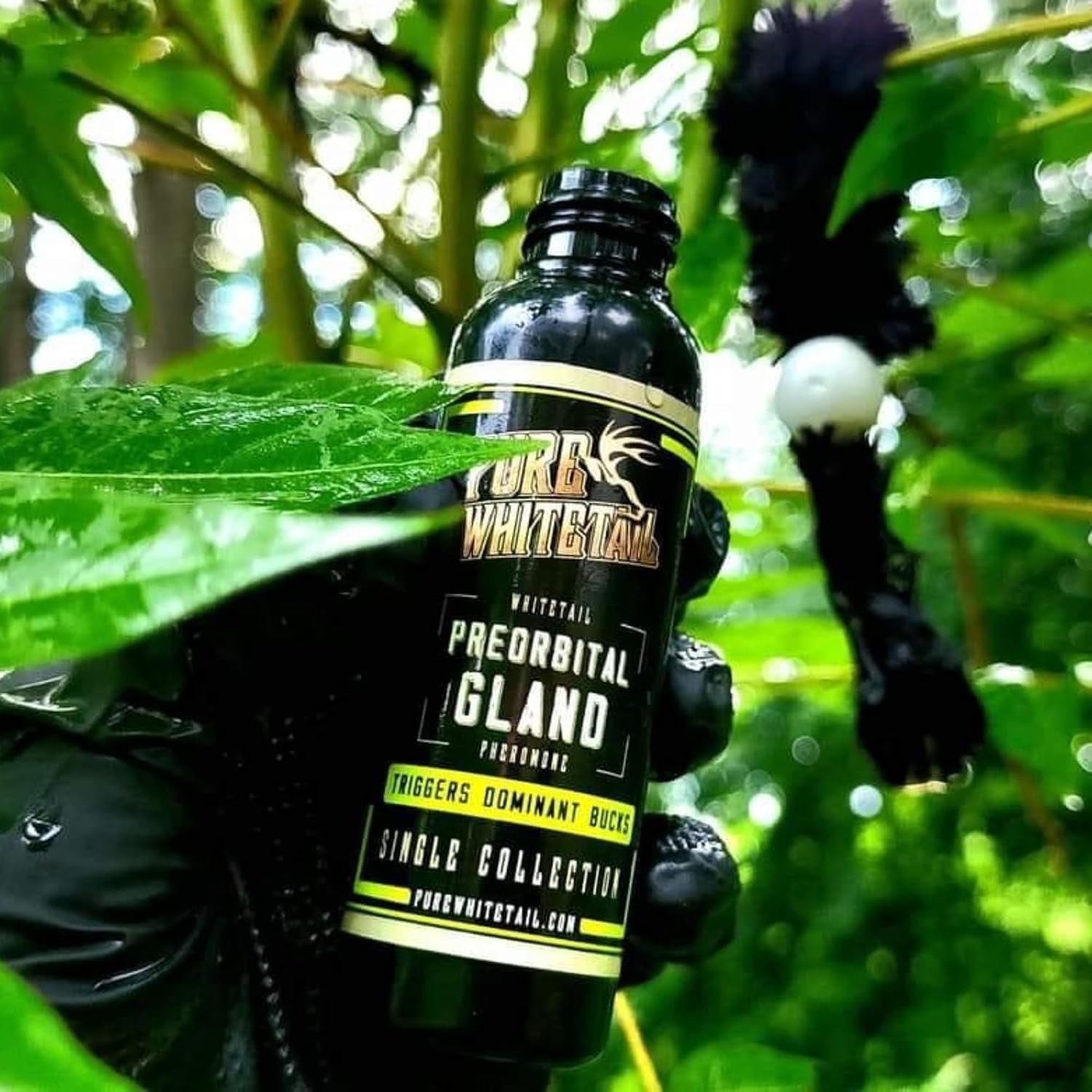 Preorbital Gland Scent | Deer Forehead Gland Scent | Natural Deer Scent | Mock Scrape Scent | Makes a Licking Stick for Deer | 2 Oz Bottle
