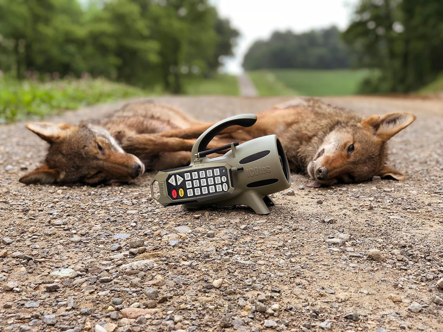 300+ Predator Call - Great for Coyote Hunting, Fox Hunting, and All Predator Hunting. 300-Yard Remote Range.