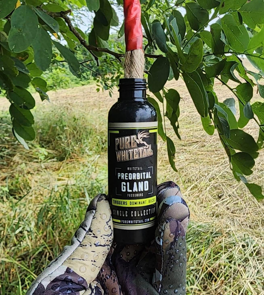 Preorbital Gland Scent | Deer Forehead Gland Scent | Natural Deer Scent | Mock Scrape Scent | Makes a Licking Stick for Deer | 2 Oz Bottle