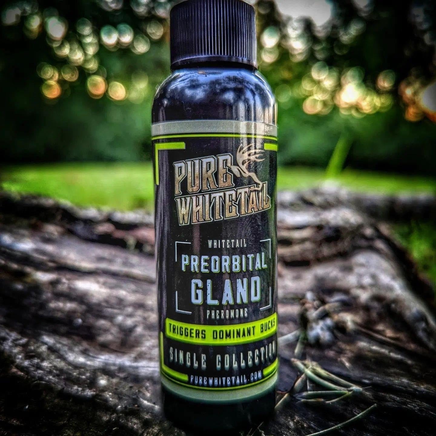Preorbital Gland Scent | Deer Forehead Gland Scent | Natural Deer Scent | Mock Scrape Scent | Makes a Licking Stick for Deer | 2 Oz Bottle