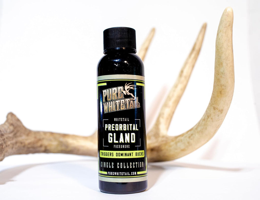 Preorbital Gland Scent | Deer Forehead Gland Scent | Natural Deer Scent | Mock Scrape Scent | Makes a Licking Stick for Deer | 2 Oz Bottle