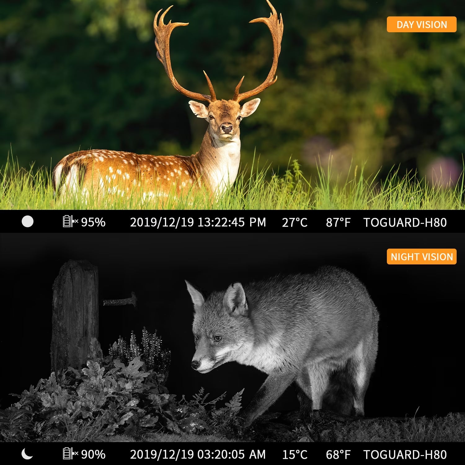 Wifi Trail Camera 24MP 1296P Bluetooth Game Camera with Night Vision Waterproof IP66 Motion Activated