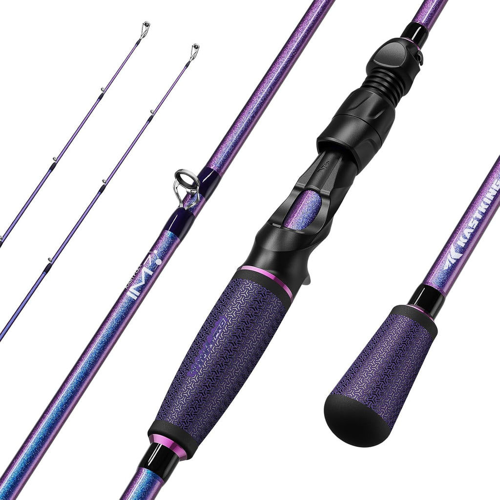 Royale Legend Pro Twin-Tip Spinning & Casting Fishing Rods