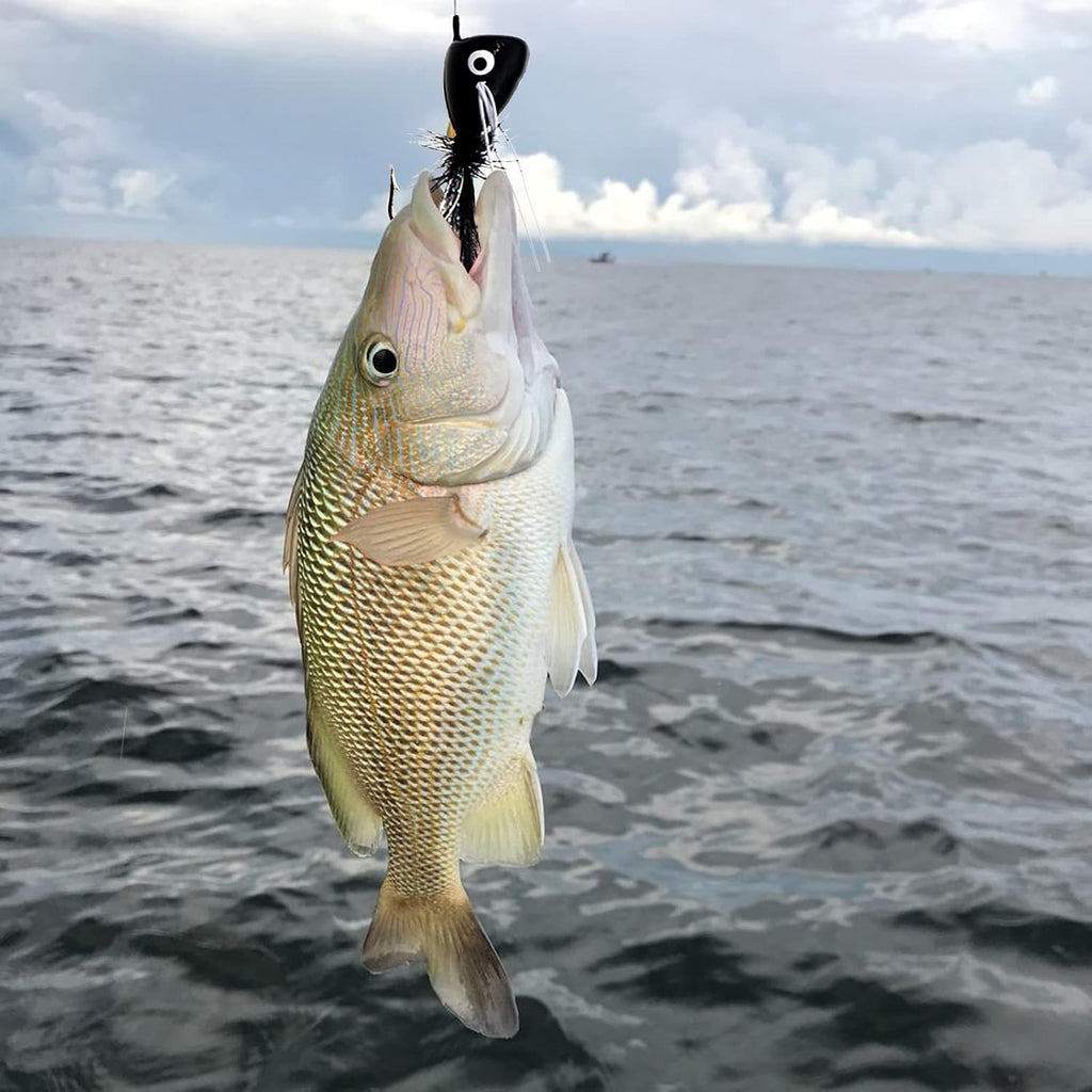 Fly Fishing Poppers Dry Flies Topwater Lures Bass Trout Kit Pro XL