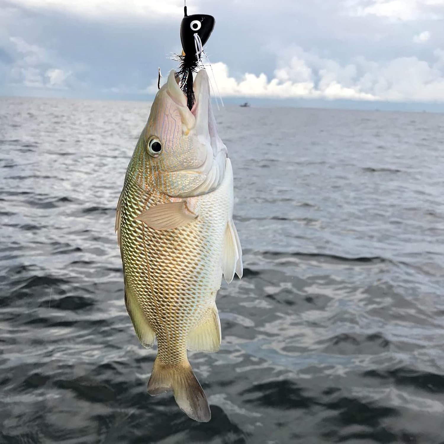 Fly Fishing Poppers Dry Flies Topwater Lures Bass Trout Kit Pro XL